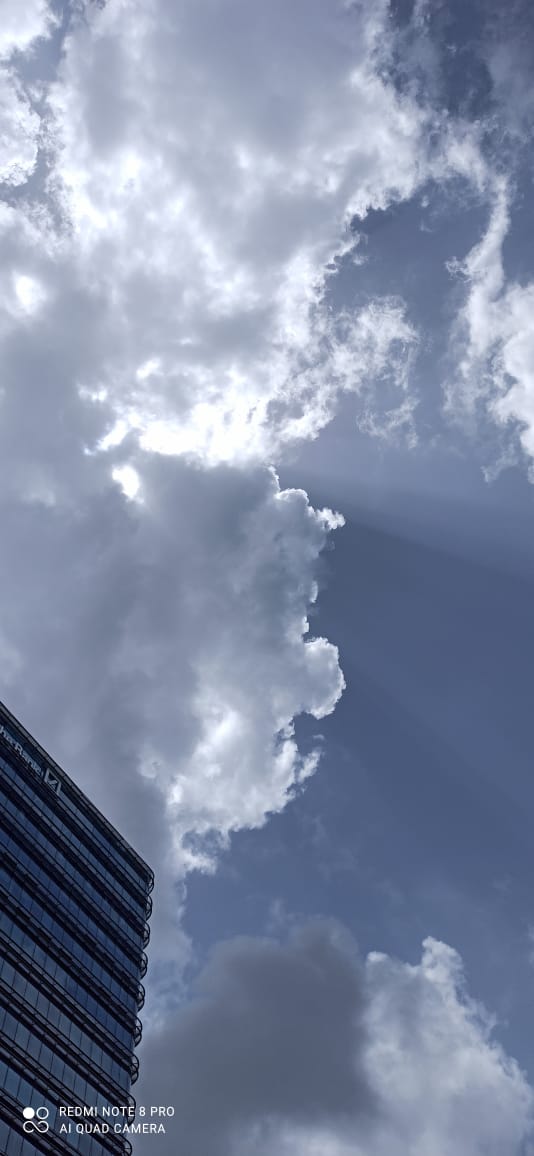 netra_chand's tweet image. 🌸