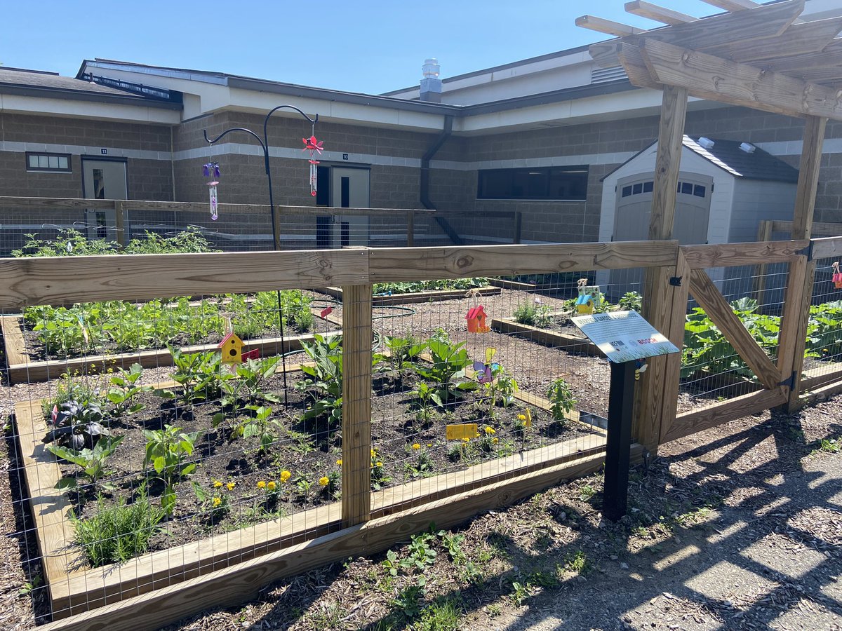 Novi Educational Foundation tweet media