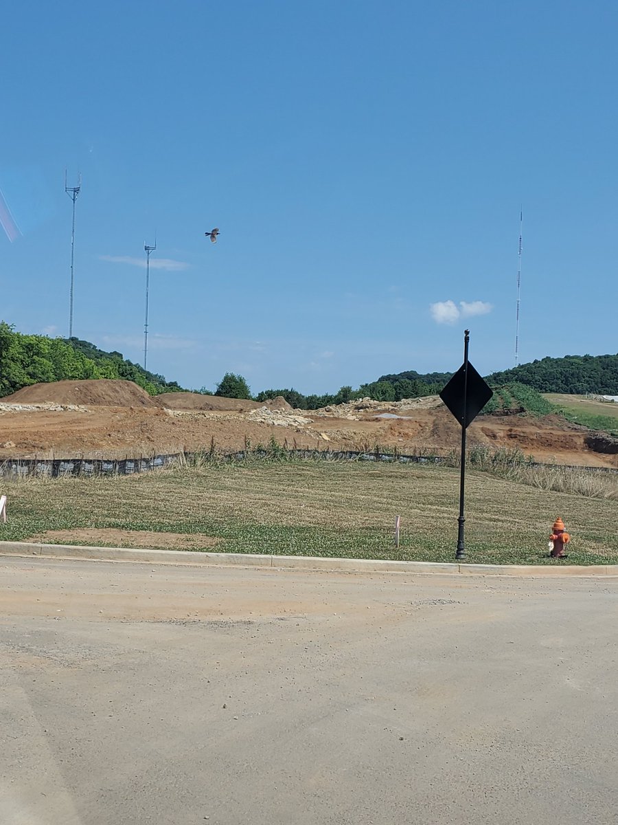 ljtenn's tweet image. Off Brickchurch pk at ThorntonGrove @RyanHomes194 20+ acres of nothing but houses. No @Publix. No @kroger. Not even @AldiUSA. 
There&apos;s NOTHING. No grocery store. No gas station. No entertainment. Nothing #middleclassburden. Guess it&apos;s not Sylvan Park?🤷🏾‍♀️ @mendesbob @zulfat4council