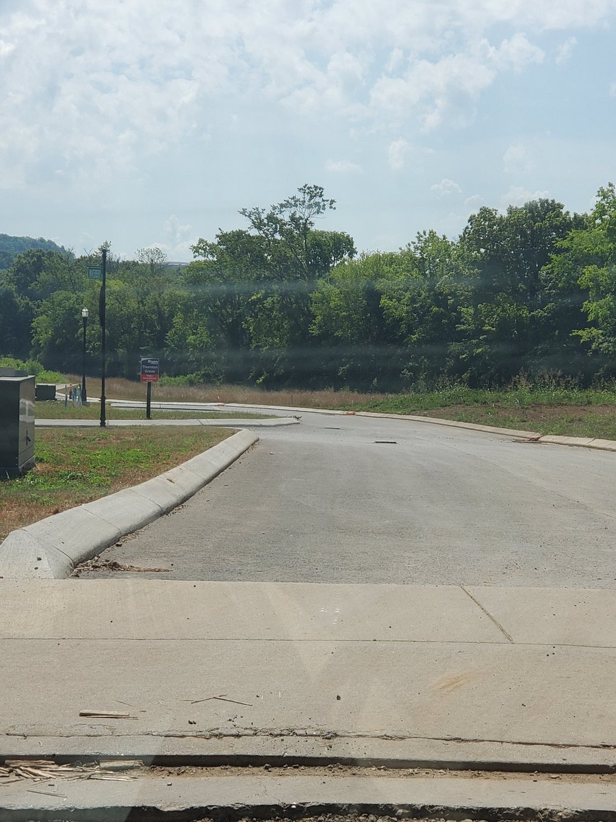 ljtenn's tweet image. Off Brickchurch pk at ThorntonGrove @RyanHomes194 20+ acres of nothing but houses. No @Publix. No @kroger. Not even @AldiUSA. 
There&apos;s NOTHING. No grocery store. No gas station. No entertainment. Nothing #middleclassburden. Guess it&apos;s not Sylvan Park?🤷🏾‍♀️ @mendesbob @zulfat4council