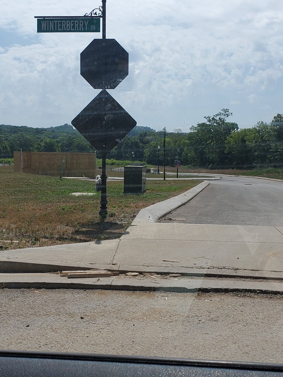 ljtenn's tweet image. Off Brickchurch pk at ThorntonGrove @RyanHomes194 20+ acres of nothing but houses. No @Publix. No @kroger. Not even @AldiUSA. 
There&apos;s NOTHING. No grocery store. No gas station. No entertainment. Nothing #middleclassburden. Guess it&apos;s not Sylvan Park?🤷🏾‍♀️ @mendesbob @zulfat4council