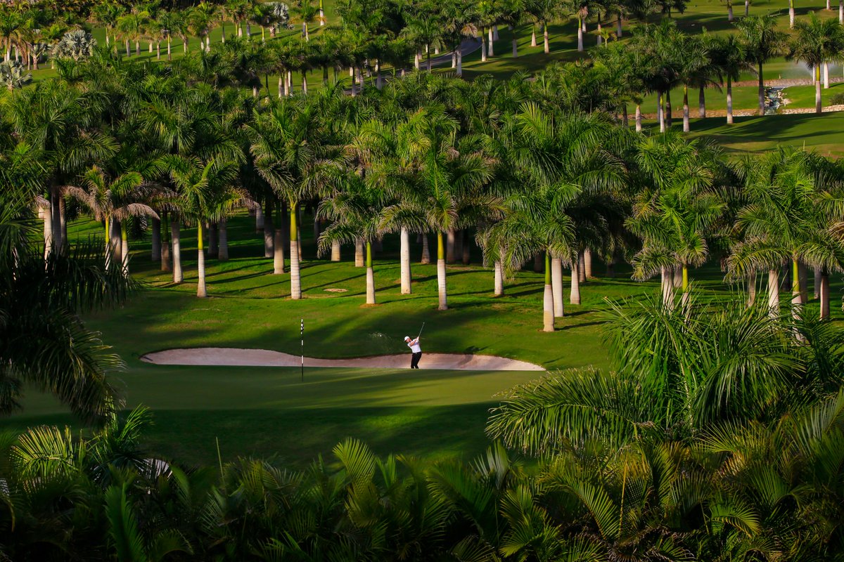DreamGolfDesti1's tweet photo. Oferta #LastMinute Summer 2021

Jeśli jeszcze nie zarezerwowałeś wakacji mamy dla Ciebie świetną ofertę

Więcej info
kp@dreamgolfdestinations.com
+48 604 28 28 28

#Travel #holiday #GranCanaria https://t.co/Kcu4p9L0U2