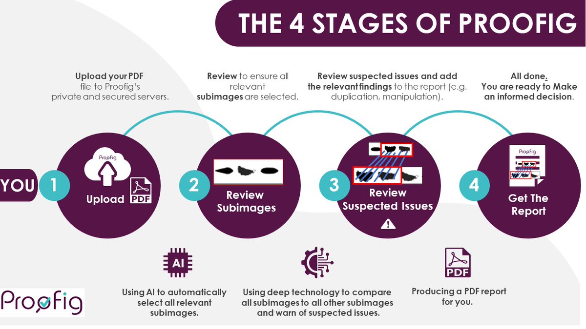 Proofig's tweet photo. Scan in minutes the entire pre-publication research paper for image duplications & manipulations – by using the 4 simple stages of Proofig.
Learn More - https://t.co/ReqbQPO7gg
#Proofig #science #integrity #innovation #RESEARCHPAPER https://t.co/SuEmbas1SS