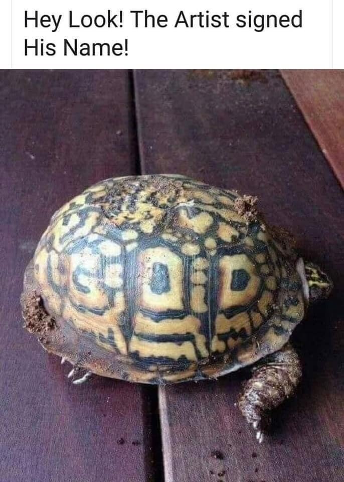 Good Morning Twitter🌞🌞🌞