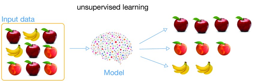 Arabicnlp_imamu's tweet image. 2/ #التعلم_الغير_موجه #Unsupervised_Learning: يكون التعليم حر تلقائي بدون الحاجة للأستاذ أوالبيانات المٌعلمّة (labeled data). بل يعتمد على على التلميذ في البحث عن نمط مشترك بين البيانات المدخلة الغير مرتبة.
مثلا عليه استكشاف خصائص الموز ليتمكن من تمييزها عن بقية الفواكه.
#صَدَف