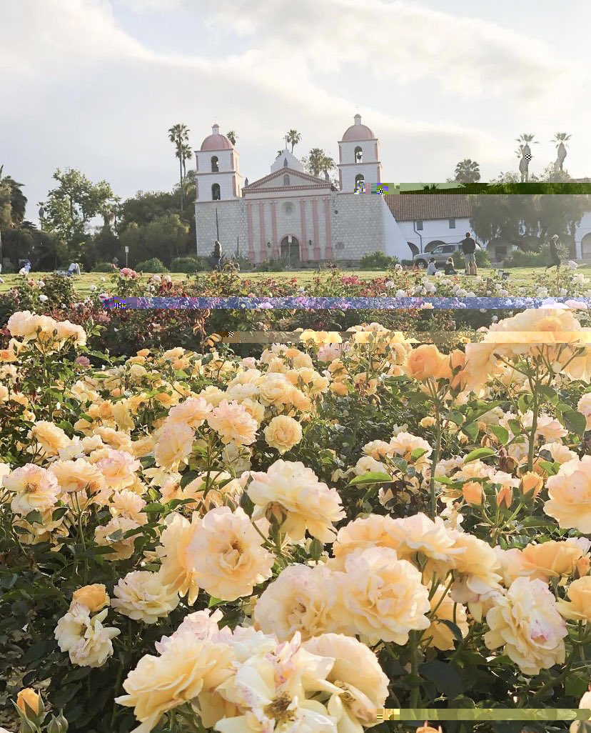 DCG_Travel's tweet photo. Gorgeous flowers at #oldmissionsantabarbara. So many hidden treasures within #SantaBarbara to explore. Follow @SantaBarbara to find these unique spots. 
📸: @santabarbarafamilies via IG https://t.co/bEe42t893P