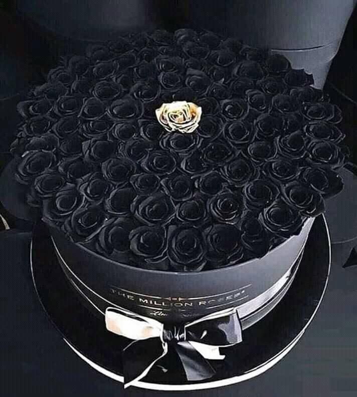 foreastech's tweet image. congratulations to my brother @builtrash &amp;amp; my lil girl @yourwarmhoodie. may your days filled with love and happily ever after guys!