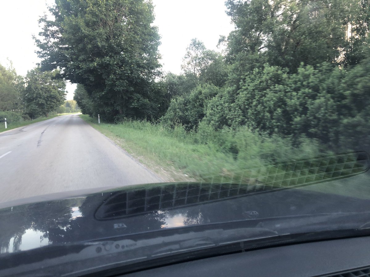 ikstensL's tweet photo. @LVceli @autoceli @Sat_Min  man jau liekas, ka šādi neskaitās nopļautas ceļmalas. Par ko tiek maksāta nauda? https://t.co/mRSGPA0b47
