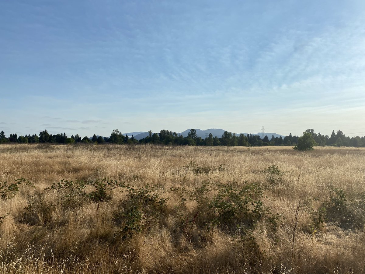 Good news - we made it to Eugene, OR for Nike Outdoor Nationals!
Bad news - Liam’s javelin didn’t get here yet 😐 Thanks, <a href="/AlaskaAir/">Alaska Airlines</a> and/or <a href="/Delta/">Delta</a> (neither seem to know where it is)
We are enjoying this cool little city while we wait!