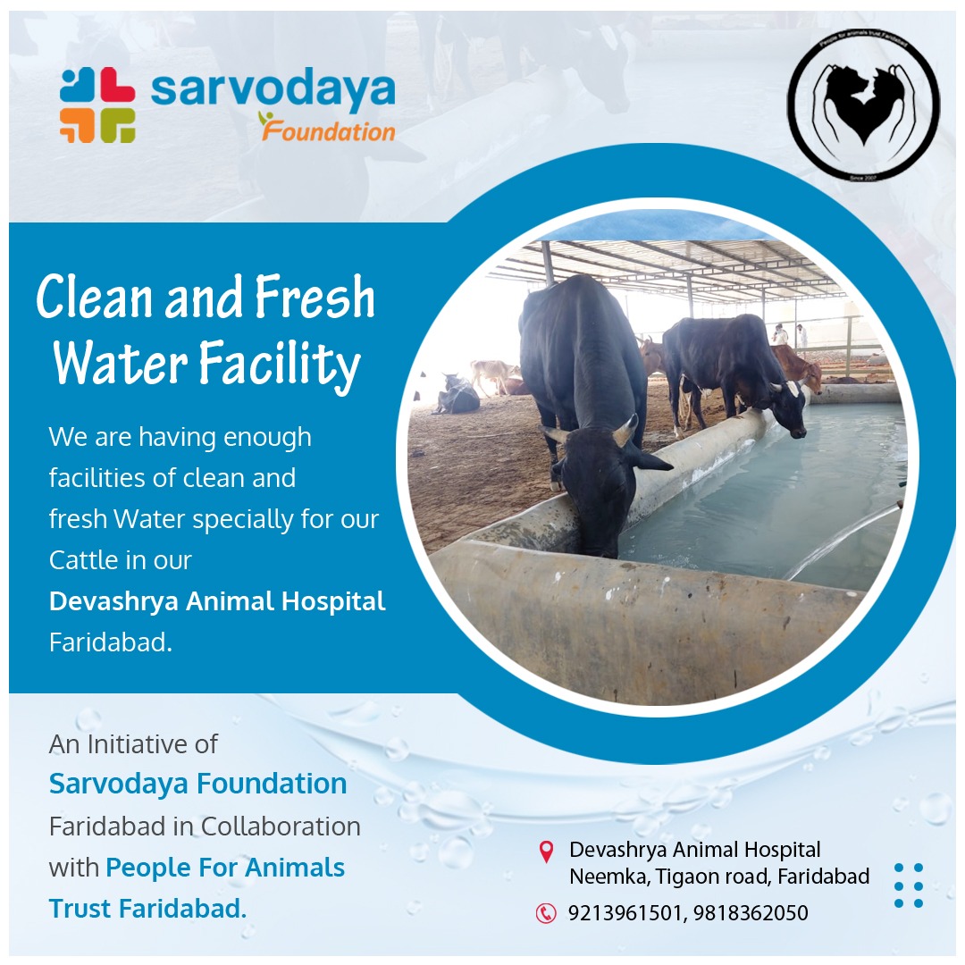 People For Animals Trust Faridabad on Twitter: People For Animals Trust Faridabad on Twitter: