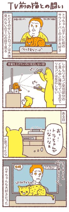 「TV前の猫との戦い」「多分誤解してる猫」
 #まいどな漫画大賞2021 