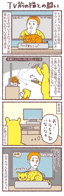 「TV前の猫との戦い」「多分誤解してる猫」
 #まいどな漫画大賞2021 