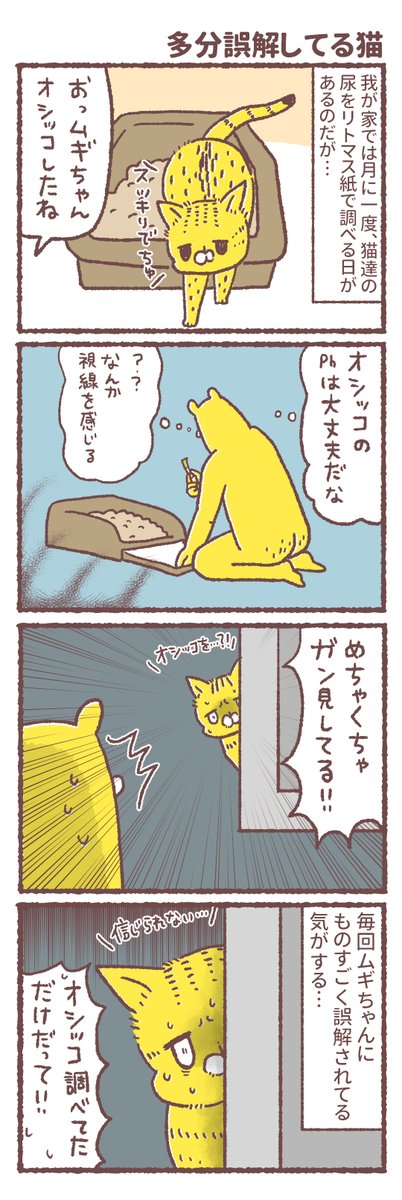 「TV前の猫との戦い」「多分誤解してる猫」
 #まいどな漫画大賞2021 