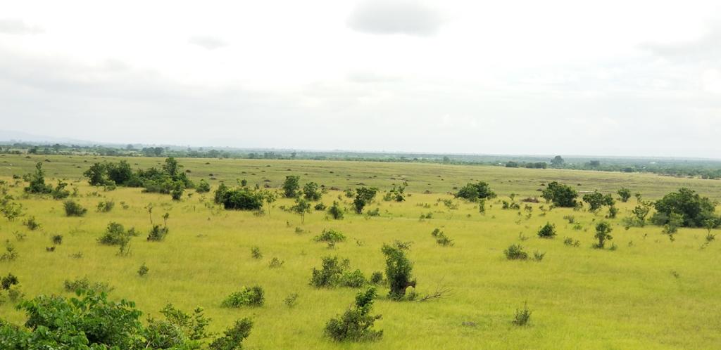 pristinegh_emc's tweet photo. Aveyime Maize Farming Project, Aveyime, Ghana

Visit us on - https://t.co/5RariTNRaT 

#pristineenvironmentalmanagementconsults #MadeinGhana #environmentalconsulting https://t.co/3gYofAcsW7