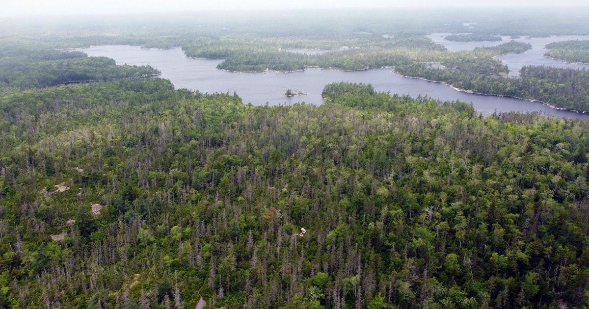 Halifax councillor looks to stop highway proposed to cut through Blue Mountain-Birch Cove Lakes | Saltwire saltwire.com/nova-scotia/ne…