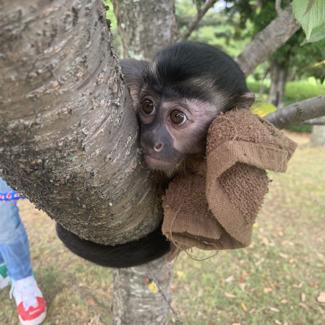小川動物王国 Wla5seqmxmqwcud Twitter 小川動物王国 Wla5seqmxmqwcud Twitter