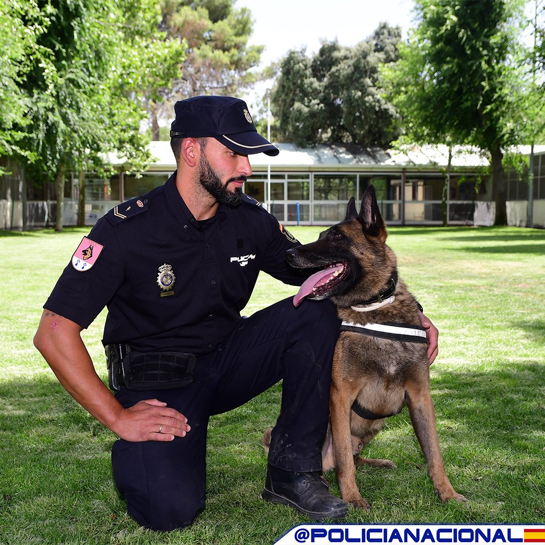 Policía Nacional tweet media