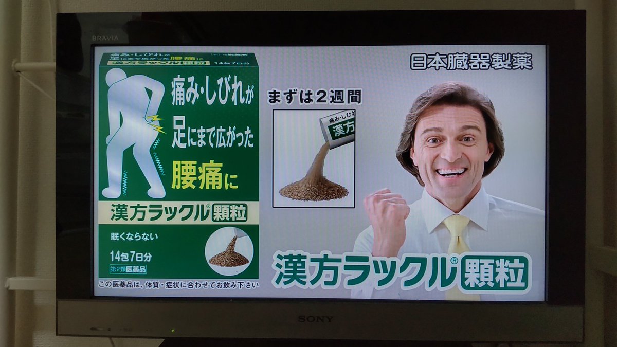 日本臓器製薬 日本臓器製薬