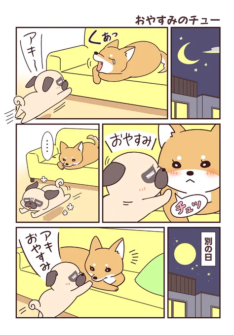 パグと柴犬兄妹の日常② 