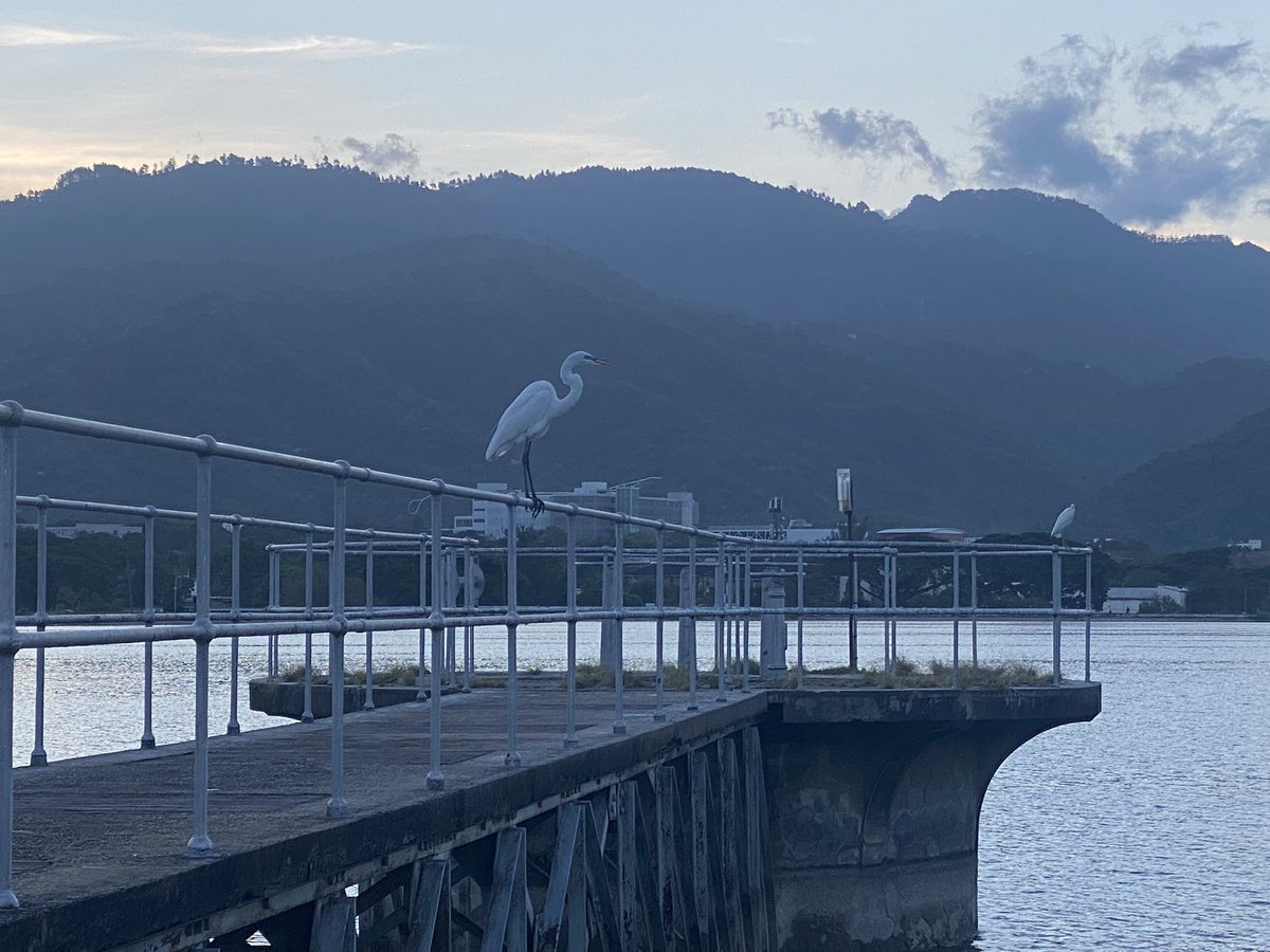 matthewsamuda's tweet photo. Greetings Folks…
Lake Mona for the win with the views once again!
#Morning30
#KeepingAtIt @jamaica_moves https://t.co/zQWrawf3GE