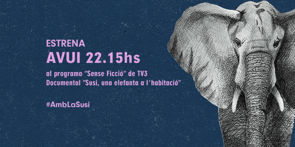 susiwebdoc's tweet photo. ACTUALITZACIÓ: EMISSIÓ DEL DOCUMENTAL A TV3

Ens acaben d’informar que el nostre documental, finalment, si s’emetrà AVUI. Seguim ferms acompanyant a la Susi en aquest dia en què la seva història serà explicada. Ens trobem avui a les 22:15 a @tv3 i @senseficcio , gràcies! https://t.co/4Z1Ps4HDqe