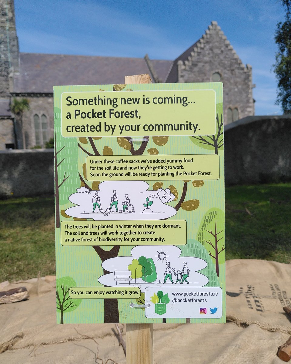 pocketforests's tweet photo. A great morning getting our next @changexhq pocket forest started with the fabulous women (and men) of the Ringsend biodiversity group. Huge thanks to the wonderful Pauline Minsky for our new infographic explaining what's happening to passers by #wormsatwork https://t.co/QkTlrnZ9yF