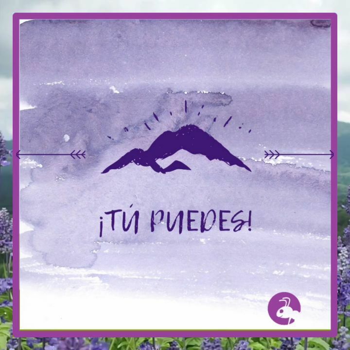 socilant's tweet image. ¡Ánimo para la semana opositores! instagr.am/p/CQs-Grjn0ew/