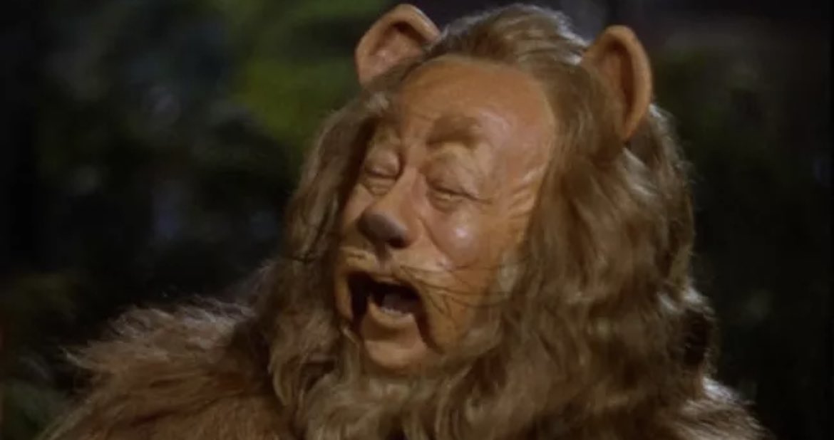 jadoreteens's tweet photo. The Wizard of Oz‘s Cowardly Lion costume was made from real lions https://t.co/Yt1960ojSx