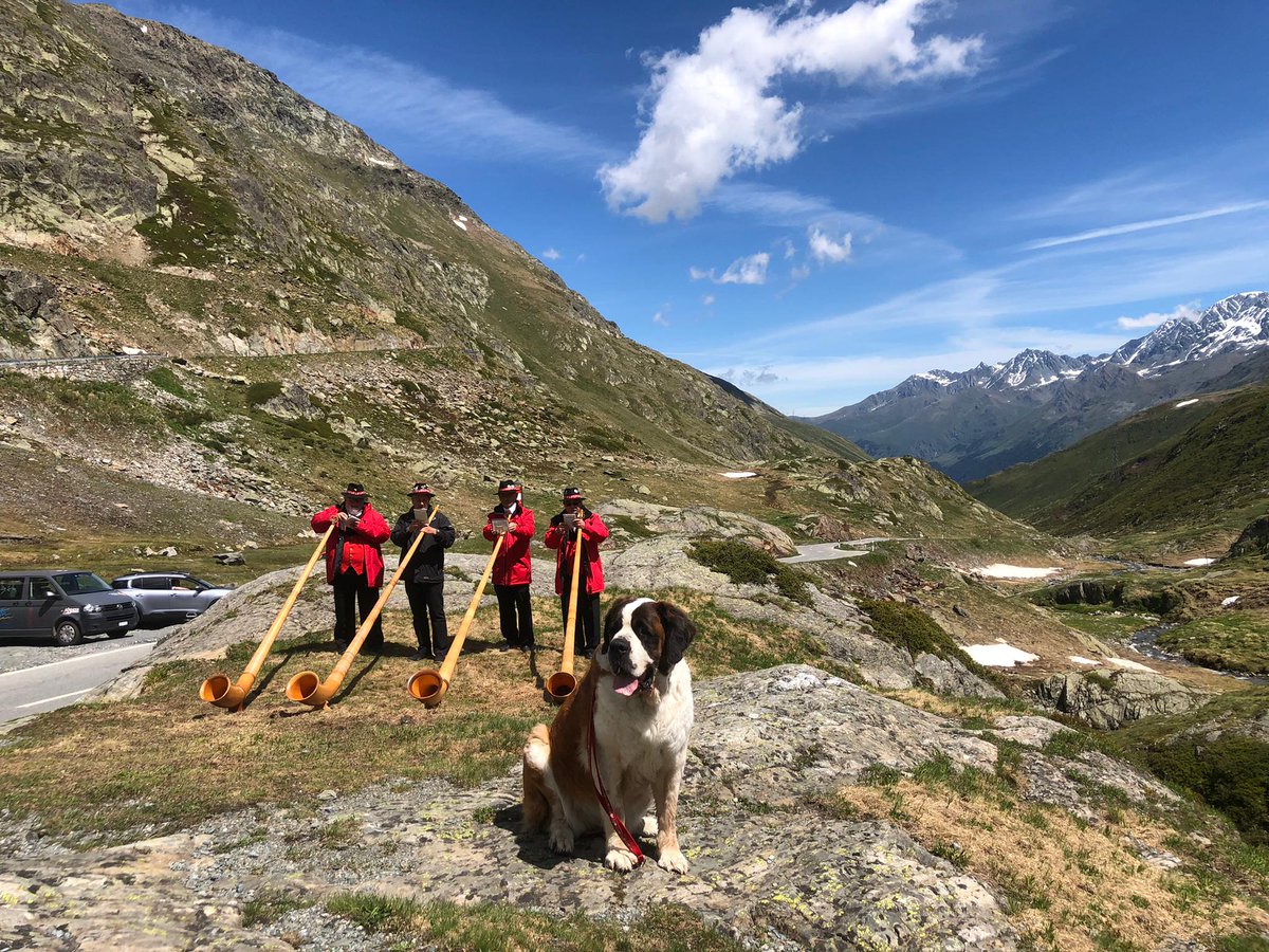 valaiswallis's tweet photo. Am Samstag haben die #Bernhardinerhunde unter dem Klang des #Alphorns ihr Sommerquartier auf dem #GrossenSanktBernhard @valaiswallis bezogen. Besucht den Pass und die knuddeligen Zweibeiner. https://t.co/B82bH8zI4f
#valais #inlovewithswitzerland #fondationbarry https://t.co/yyzOHBzHoC