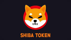 avvdimaio's tweet photo. Coming soon #dogecoin #Dogecoins #dogearmy #shibainu #Shibainucoin #ShibaArmy https://t.co/dwJ1MoPHQu