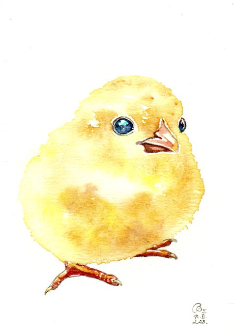 ひよこ のtwitterイラスト作品 人気順 ひよこ のtwitterイラスト作品 人気順
