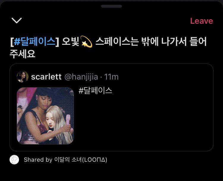 bIackvIvet's tweet image. a few lovely things share by loona in their twitter space today