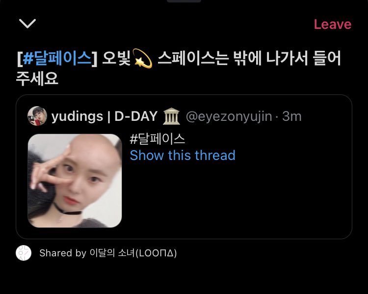 bIackvIvet's tweet image. a few lovely things share by loona in their twitter space today