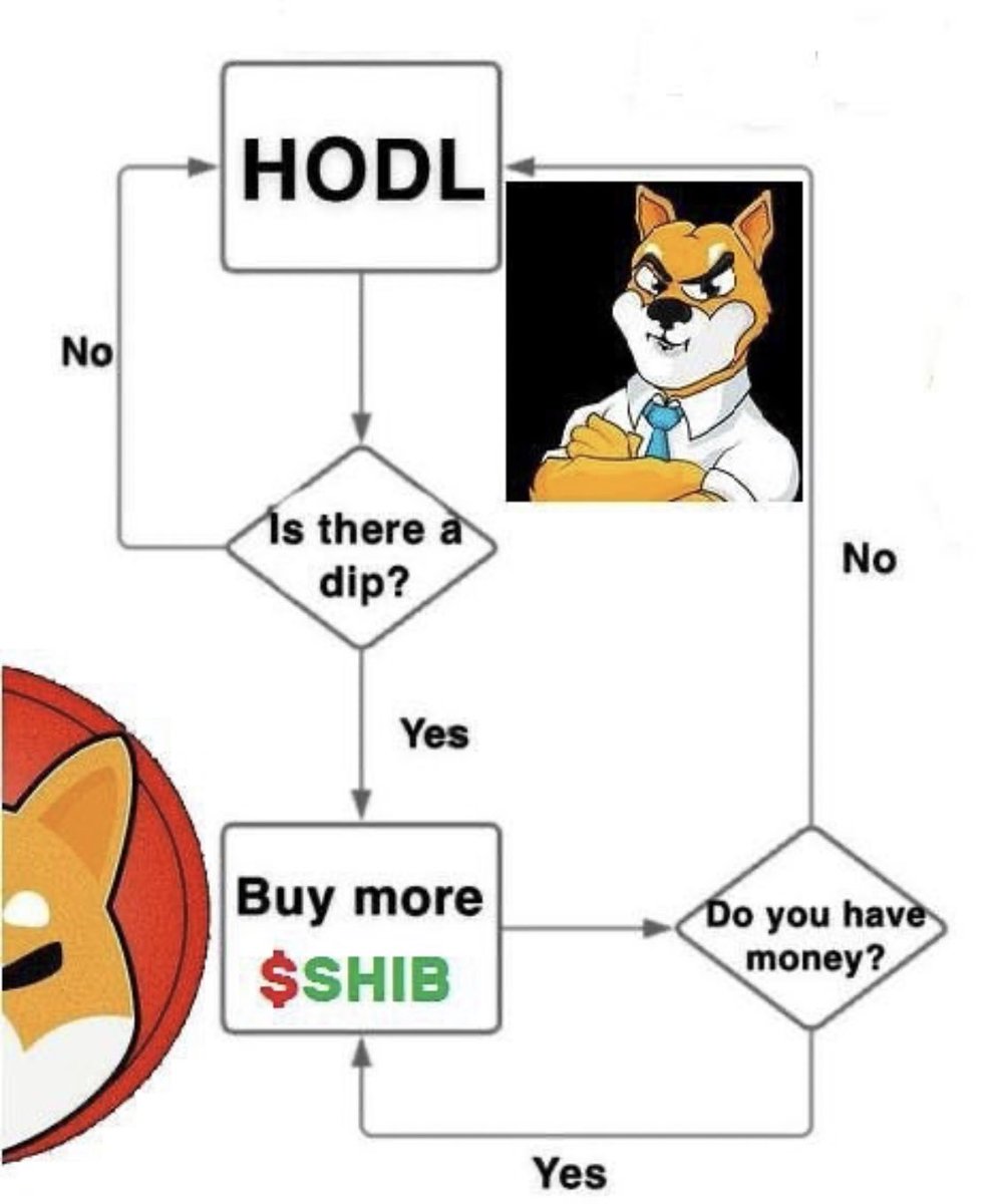 💸 ShibaCoin Movement 💸 tweet media