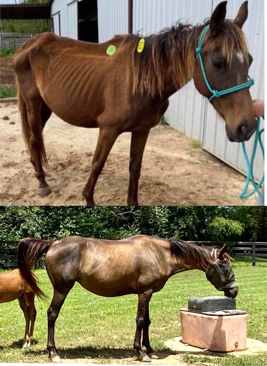 NTWOorg's tweet photo. April’sblackmagic then and now (and with a nice healthy baby by her side). https://t.co/O7KB3Lbe2u