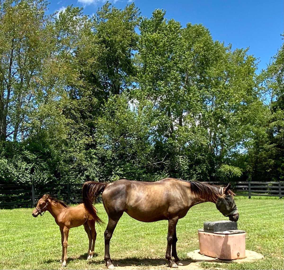 April’sblackmagic then and now (and with a nice healthy baby by her side).
