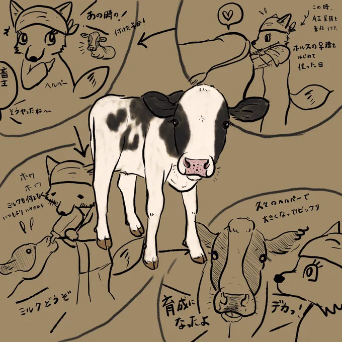 先日ヘルパー行ったら、初めて♀種で種付けして生まれた、思い入れのある子牛が搾乳デビューしていました 