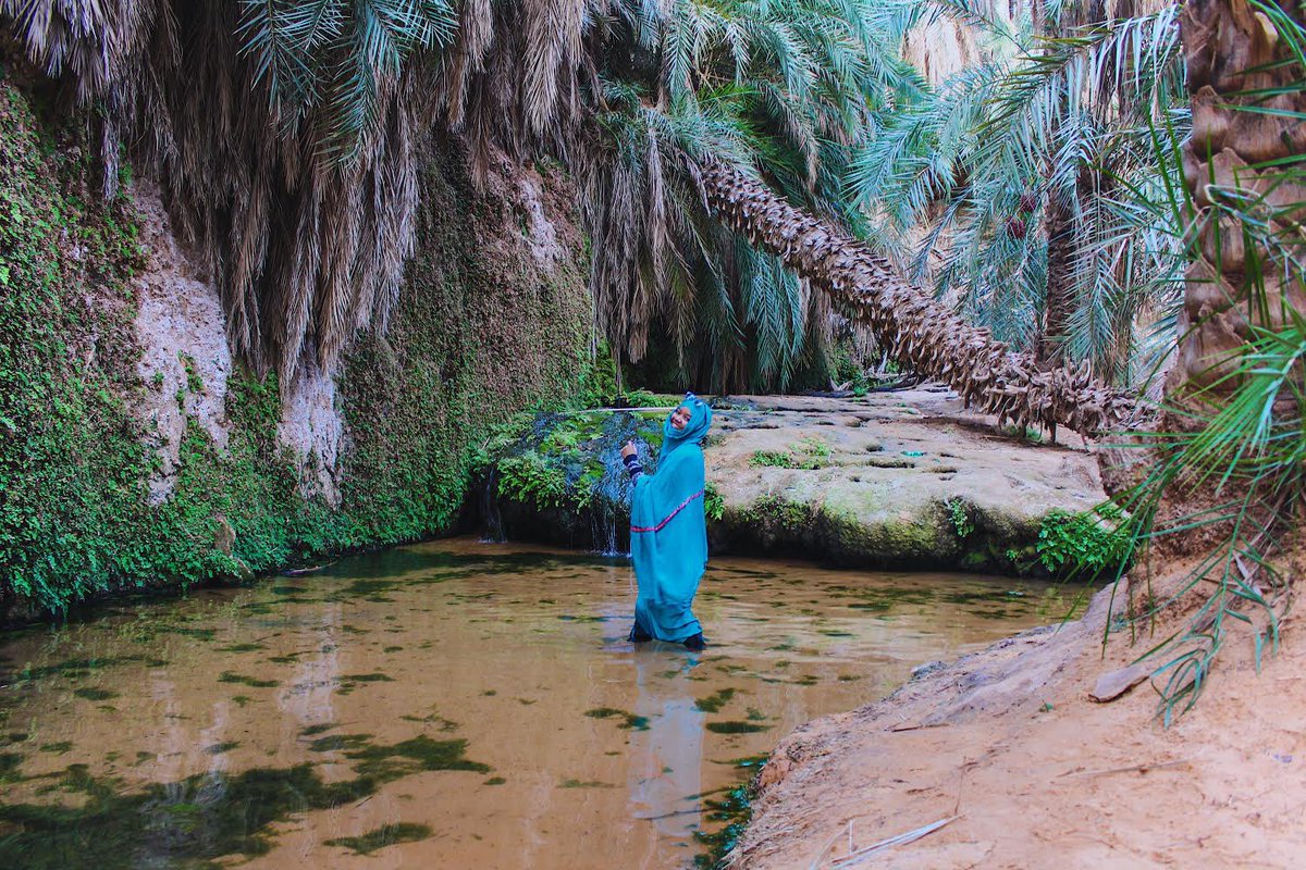 VisitMRT's tweet photo. Welcome to our paradise ❤️
Terjit Oasis 🇲🇷

[#VisitMauritania] 
📸:  @aliya_abass 

#Terjit #Oasis #Paradise #Mauritania https://t.co/VUJKiM5uFG