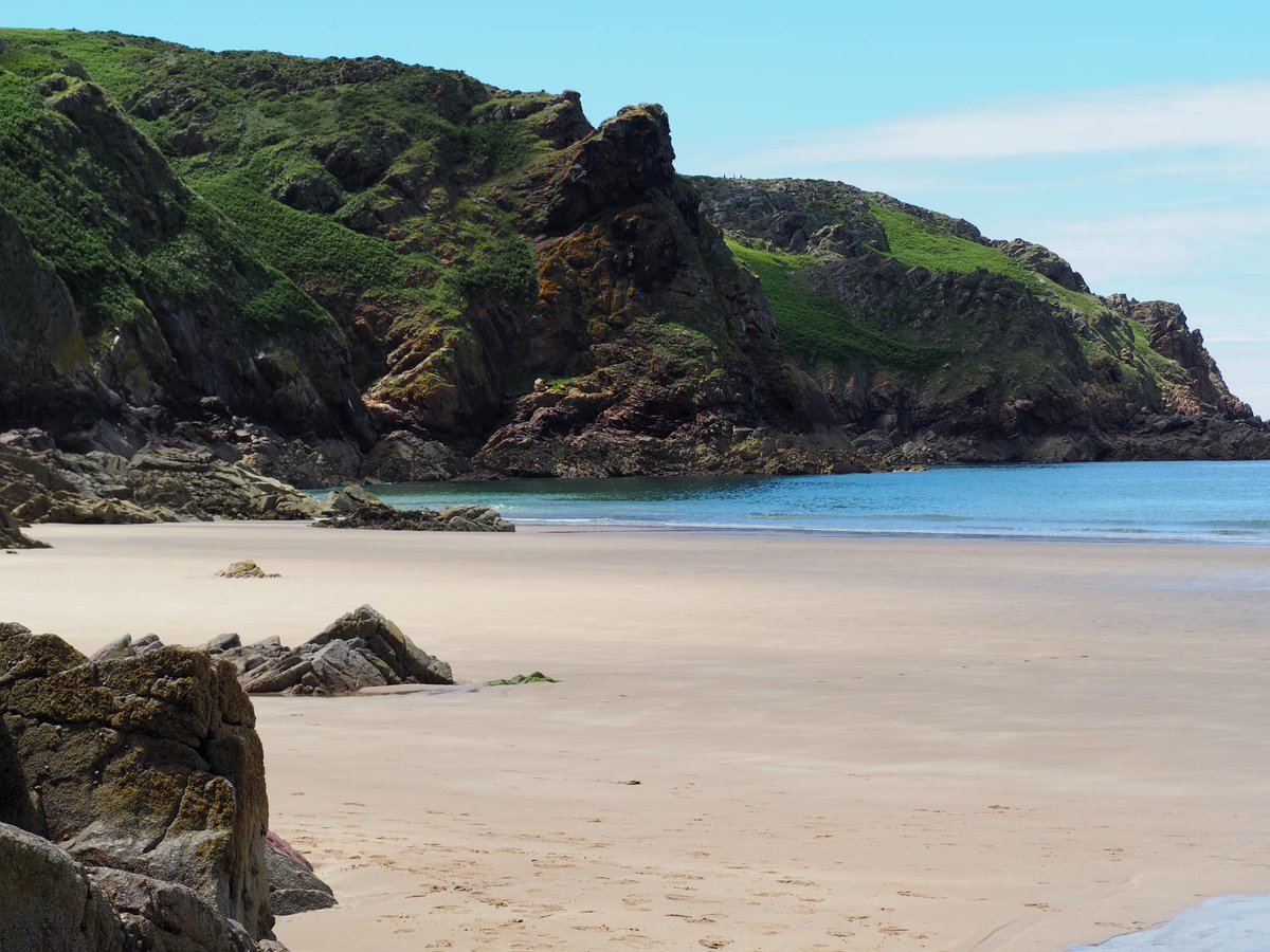 Jersey has a number of places to visit including its beautiful beaches. 

In recent years, tea fields have also emerged. Jersey Fine Tea would like to offer you the opportunity to discover them through guided tours. 

We can't wait to share this unique experience with you soon!🍃