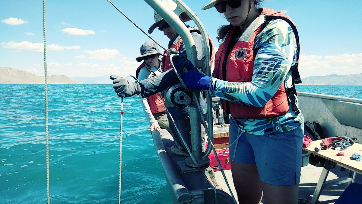 Danny Brothers tweet media