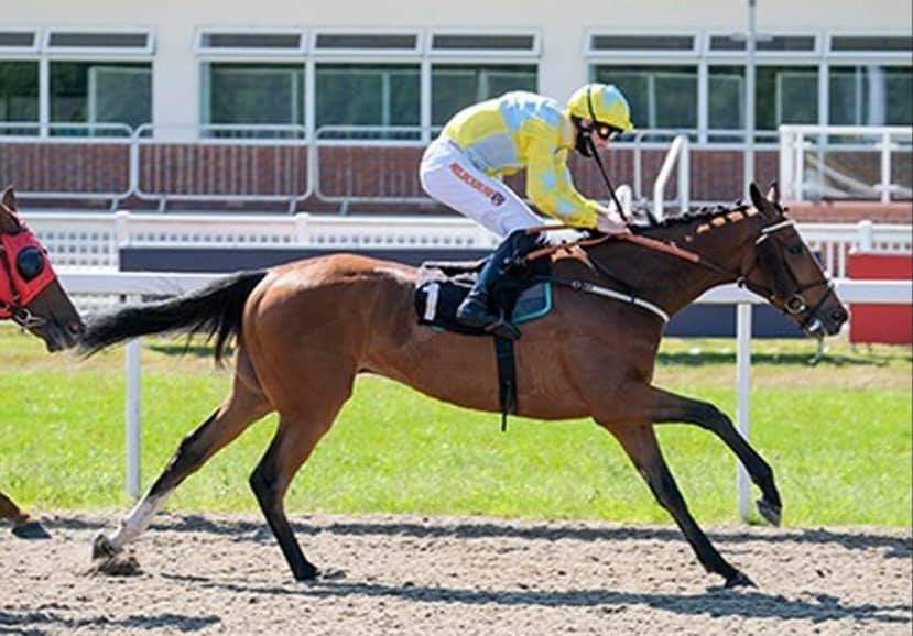 golden_equinox_'s tweet photo. #Dynali trained by @ianwilliamsraci and ridden by @DougieCostello runs this evening in the 7.50 @Chepstow_Racing
We still have shares available👇
https://t.co/IH4yjnW9Xs https://t.co/QRZHzbL2BC