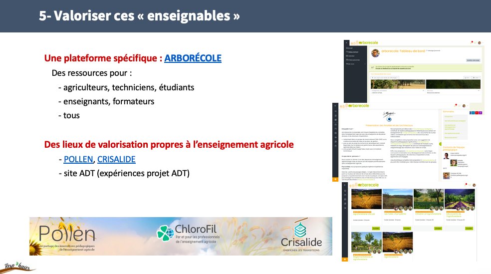 Cpeltiered's tweet photo. En atelier, je présente la démarche de construction d'"enseignables" au sein du CASDAR #RESPHAIES @afacagrofo. Passer d'une participation de l'enseignement agricole aux RMT, CASDAR sur le mode "transfert-assimilation" au mode "réélaboration-appropriation". Un changement d'avenir. https://t.co/WESythl8V4
