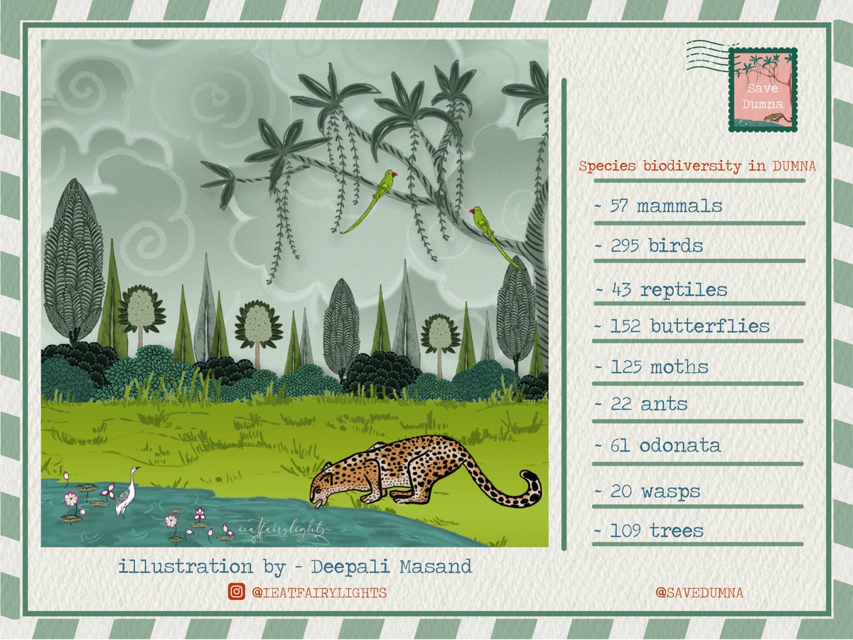 devprof's tweet image. Dumna Forest is home to many species of native trees, plants, shrubs, herbs, creepers, climbers and grasses 

Construction of any sort in Dumna will mean a devastating loss of an urban forest that has stood the test of time

DUMNA NATIONAL PARK