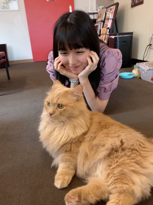 今村麻莉愛のTwitter画像23