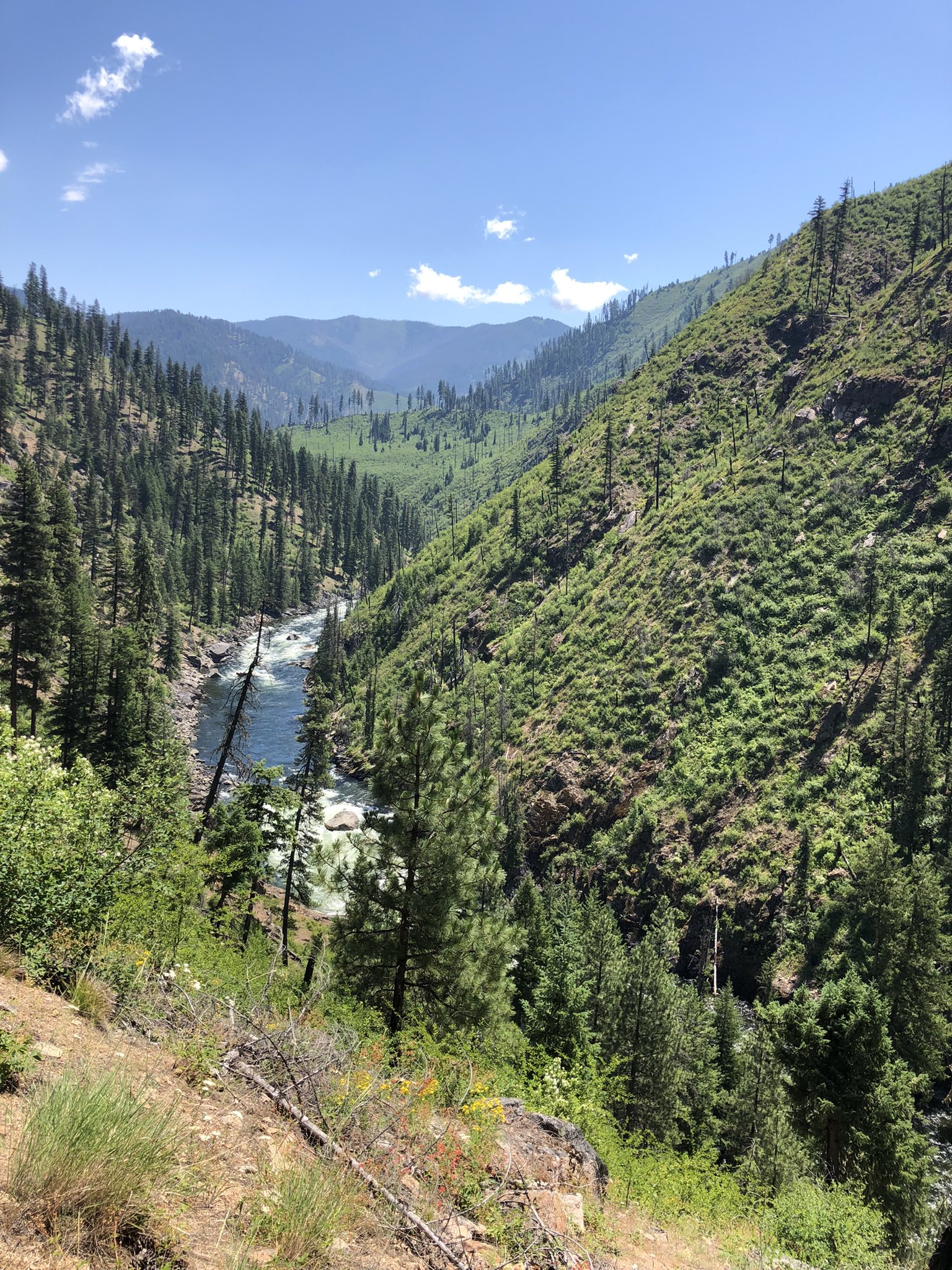 Abby Burk on Twitter: 