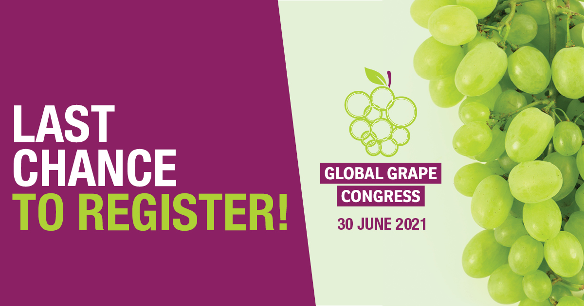 grapecongress's tweet photo. We bring together key players in the fresh table grape category to connect and share their experience and expertise. It's not too late to be part of this global event!

Last day to register ⬇️ 
https://t.co/8VDOWZLd9z

#GlobalEvents #GGC2021 #Fruitnet #GrapeTalks #GrapeCongress https://t.co/JwnPZpuIBq