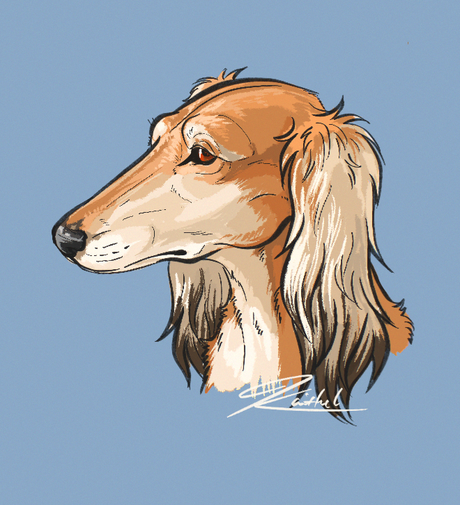 Kaithel7556's tweet photo. First time to draw Saluki, I love this dog!
#dog #animal #animaldrawing #Practice #quickcoloring #Procreate #practicedrawing #DigitalArtist #digitalart https://t.co/jp0d3Z28f8
