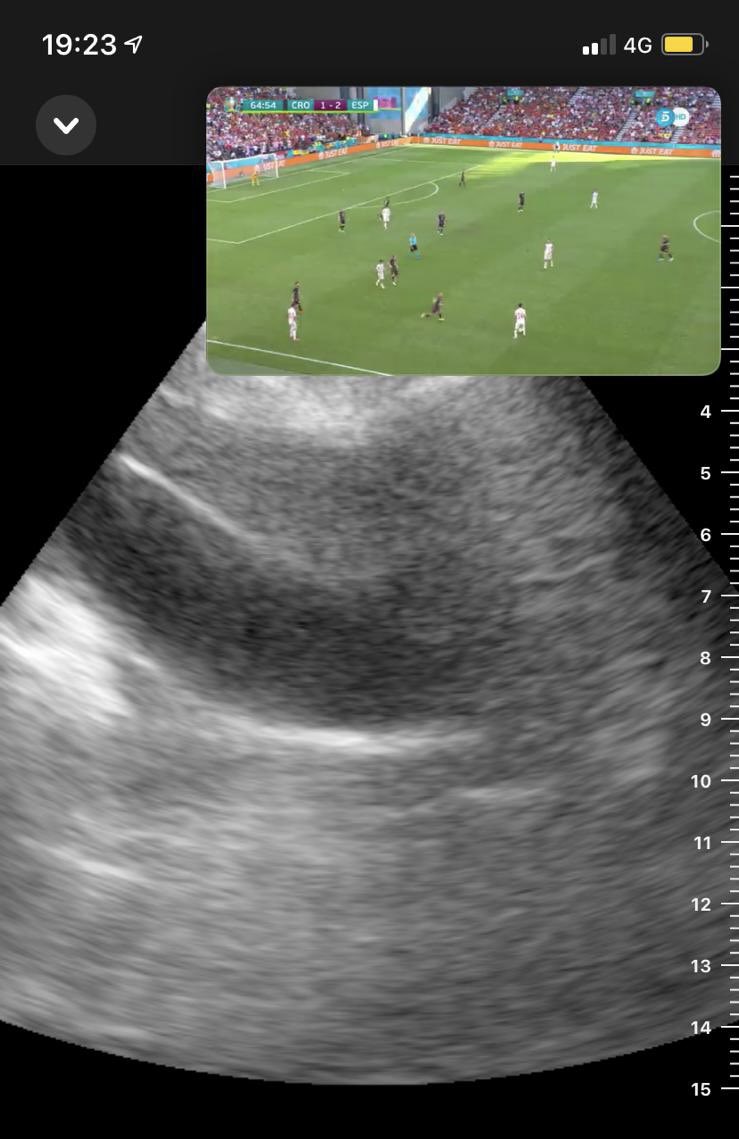 EcoSEMES Andalucía tweet media