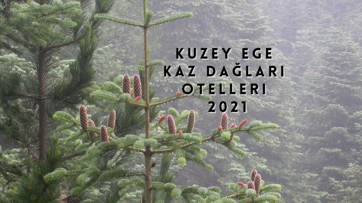 dakika_7's tweet photo. Türkiye'nin neredeyse en batı ucundan Kaz Dağları'nın enfes manzaralı k��ylerine kısa bir yolculuk yapmıştık. Bu kez Kuzey Ege - Kaz Dağları Köy Otelleri için öneriler hazırladık.

https://t.co/945aI9L2V6 https://t.co/pfYVbMGXrm