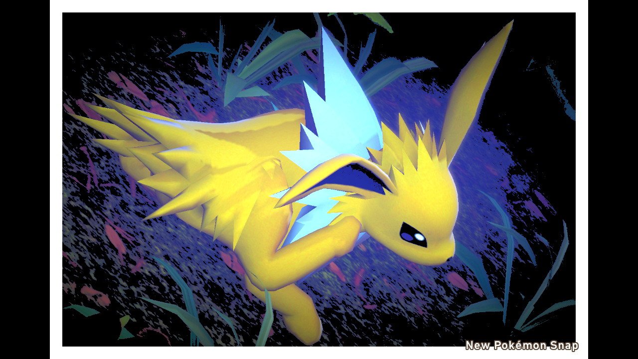 さかな サンダースのかいかい可愛い ブイズだらけのポケスナ写真展 Newポケモンスナップ Newpokemonsnap T Co Qpzupv4ief Twitter